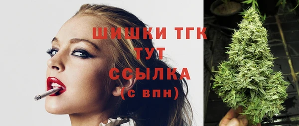 прущая мука Вяземский