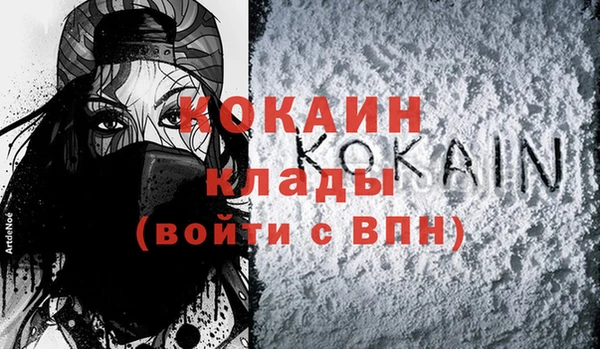 прущая мука Вяземский