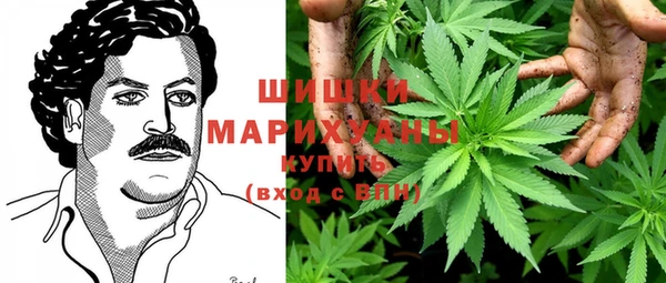 соль ск Волосово