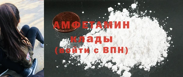 прущая мука Вяземский